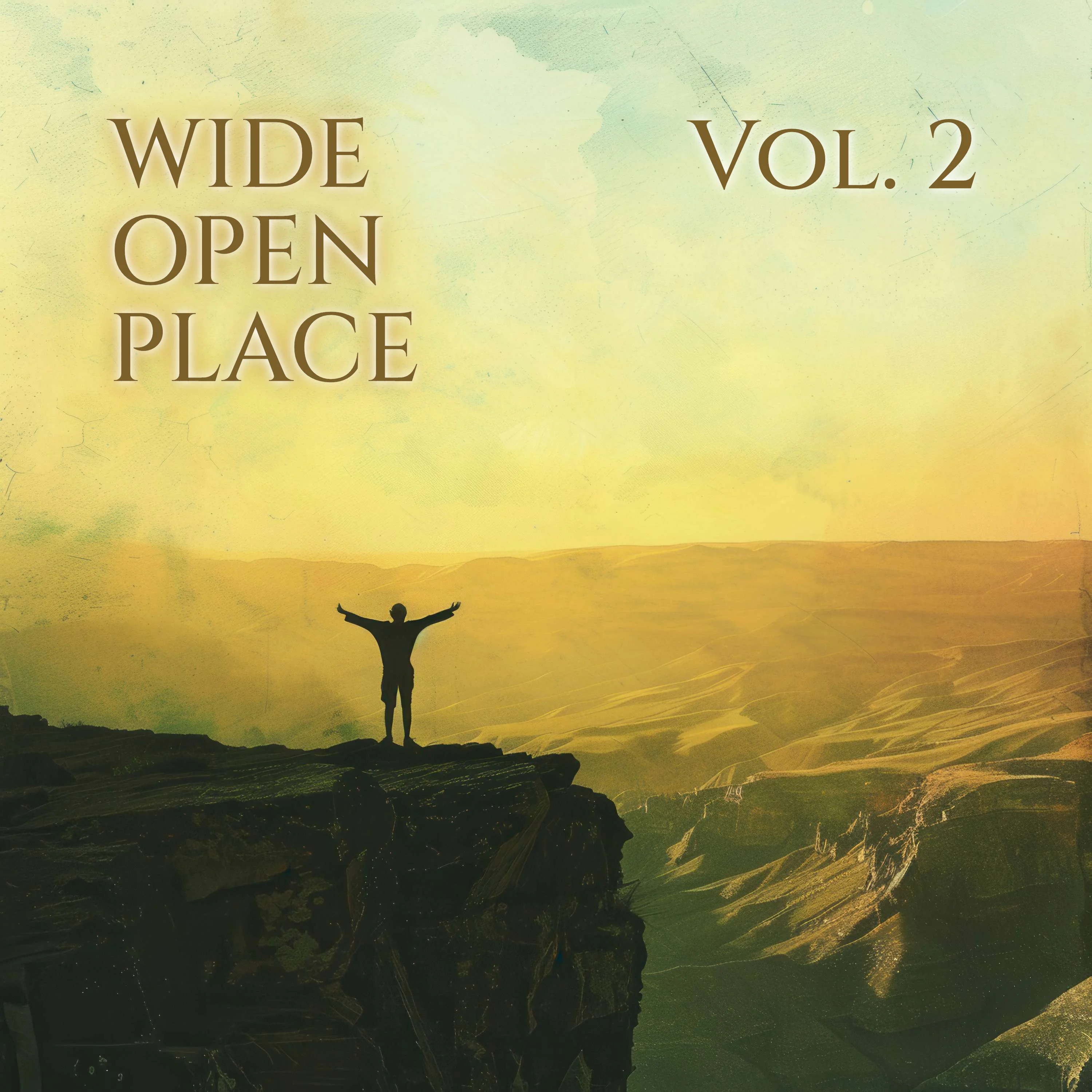 Wide Open Place, Vol 2 album cover